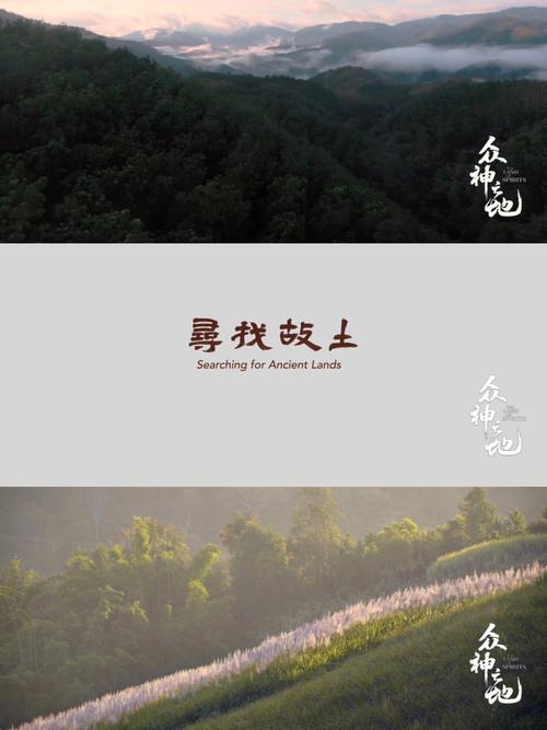 向故土家园寻找情感归属——评短篇小说集《岛屿的厝》(島嶼島民故土)