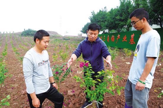 重庆市荣昌区一制作虚假美容广告经营者被罚(榮昌廣告違法)