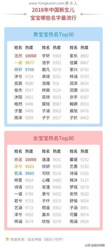 2018年新生儿姓名大数据年度榜单发布(新生兒姓名榜單)