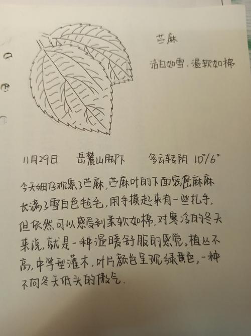 湖湘自然笔记·我们的24节气物候记丨清明(物候觀察節氣)