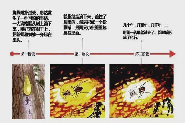 在交配时变成琥珀_4100万年后还被围观_世界上尴尬之事莫过于此(琥珀交配樹脂)