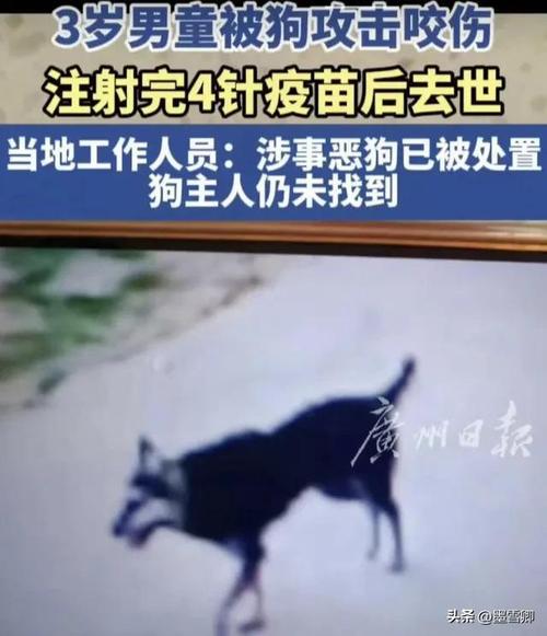 收藏_亦庄新城狂犬疫苗接种地图(狂犬狂犬病疫苗)