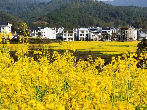 海峡视点｜科技之花绽放——福建心动生物科技有限公司(生物科技有限公司視點海峽)