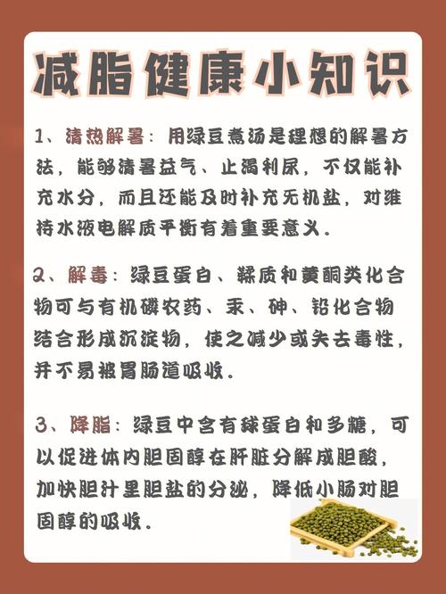 “清热解毒”的宝藏食材_你掌握真正的吃法了吗？(綠豆湯綠豆功效)