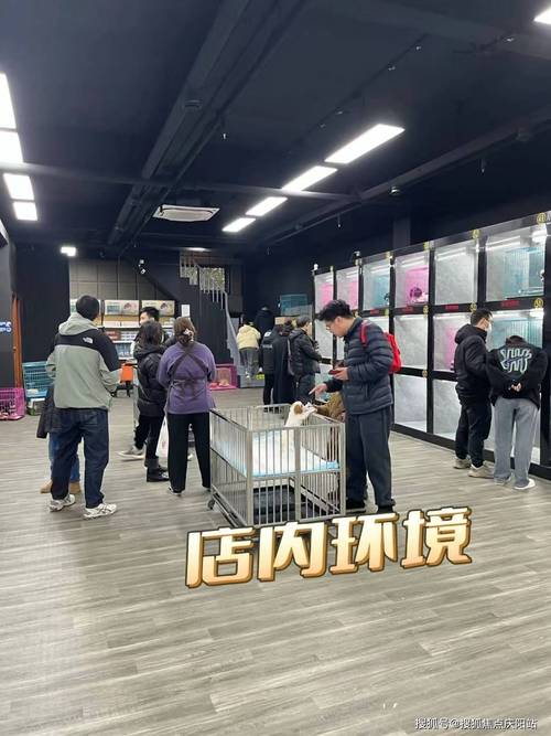 开宠物用品店进货渠道？(寵物店進貨進貨渠道)