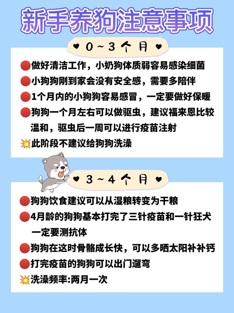 宜宾家里养狗的注意了！刚接到通知…(狗狗養狗接到)