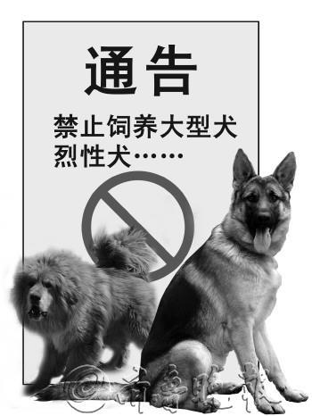 注意！昆明这些养犬管理重点区域禁养烈性犬(區域所轄養犬)