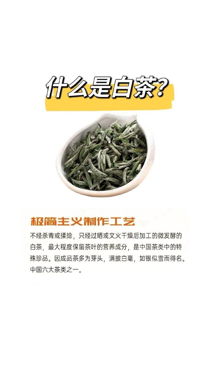 老白茶的实用功效(白茶功效政和)