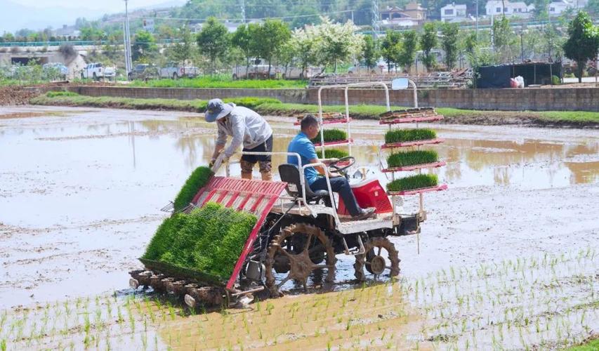 湖南祁阳推广水稻生产全程机械化(水稻機械化插秧)