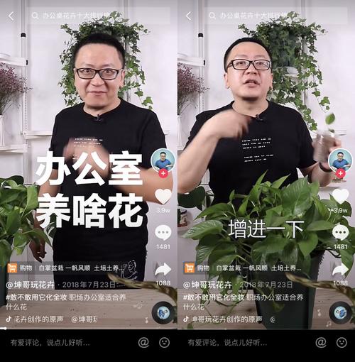 在抖音学会的100个生活小妙招_我终于理解了成年人的快乐(妙招學會成年人)