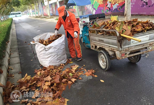 兰州落叶一夜铺街_城市“美容师”梳妆正忙(落葉清掃美容師)