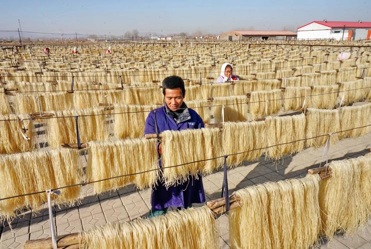 广东薯业加工多元化探索：从 “小特产”迈向“健康食品大产业”(甘薯加工預制)