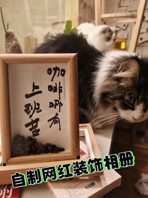 开猫咖真的容易倒闭吗？前月利润1w以上的猫咖合伙人现身说法(就行合夥人打瞭)