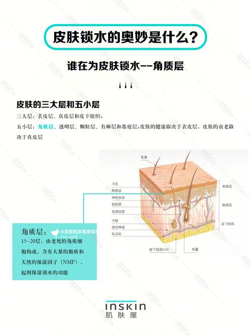 常听说运动是美容的秘方_听着有道理_解读这其中的奥妙(運動皮膚秘方)