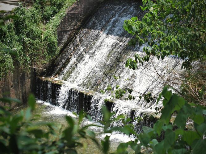 夏日避暑圣地！肇庆紫云谷溯溪、玩水、游泳、观景_攻略来了(紫雲聖地避暑)