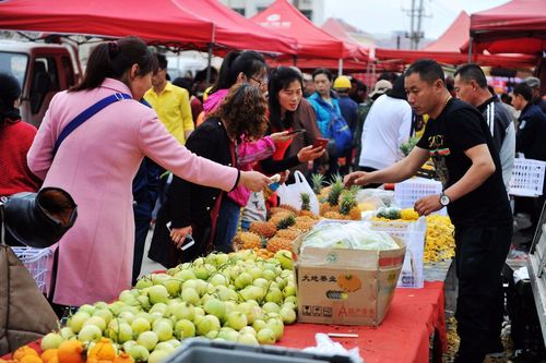 广西柳州喜迎丰收 果蔬展销集市人流如潮(展銷果蔬集市)