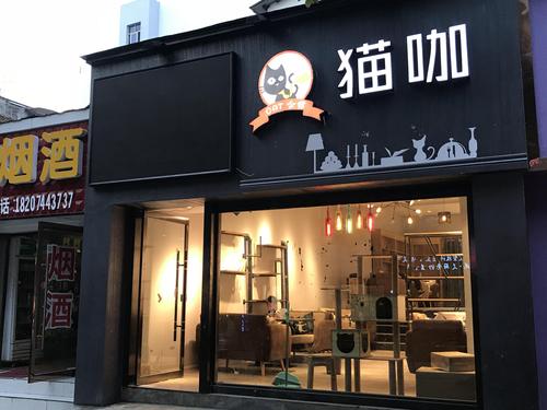 北京鸟巢附近有猫咖吗？(鳥巢寵物旗艦店)