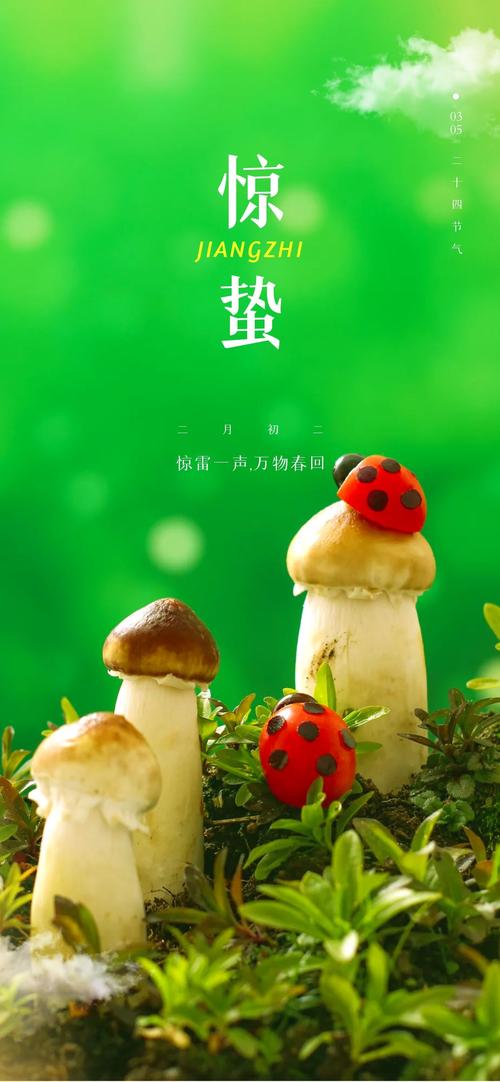 适合节气惊蛰的朋友圈品牌借势文案(春雷品牌驚蟄)