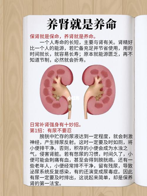 【科普视频】如何养护肾脏?(腎臟養護科普)