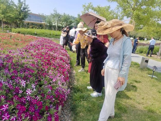 平度市东阁街道开展花海行动 花海之旅第一季启程(花海市東街道)