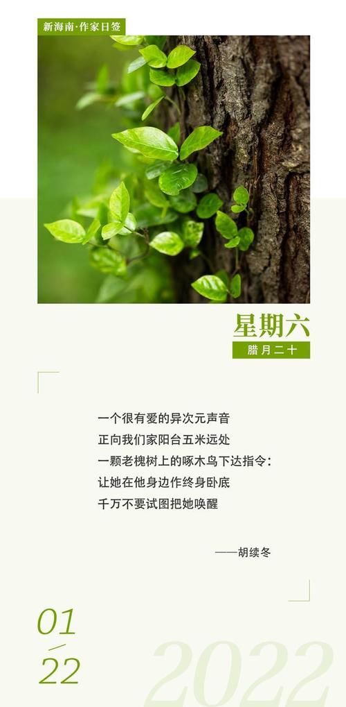 草堂读诗｜故事：胡续冬《终身卧底》(北大臥底草堂)