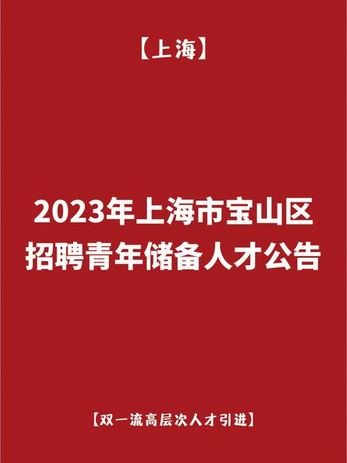 月薪最高20000元！宝山这些岗位正在招人(工作項目智能化)