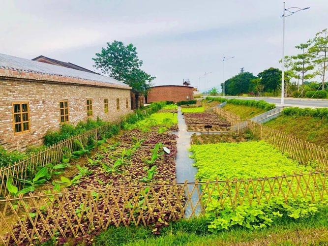 注重因地制宜 胶州市持续提升农村人居环境整治质量(污水處理農村人居)