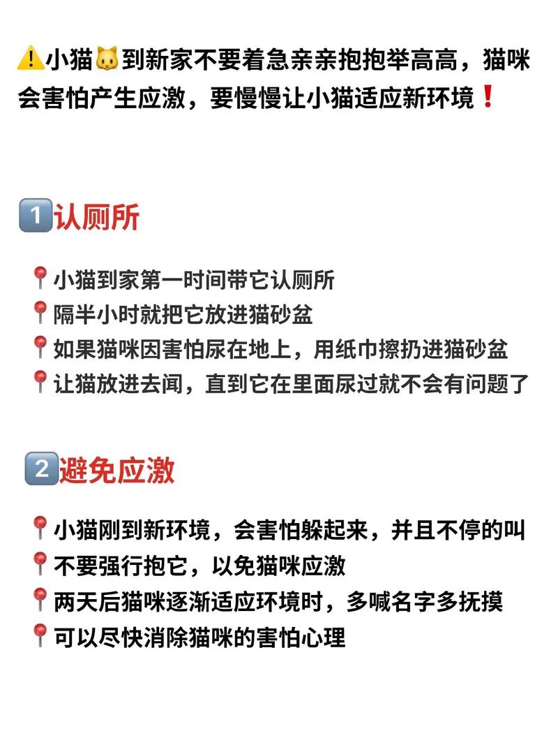 “共享猫咪”引争议？上海一猫咖探索“猫咪试养”新模式(貓咪應激寵物)