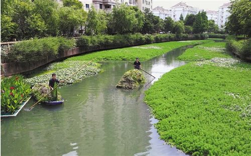 慈溪长河镇这样提升水环境的“里子”(污水長河管網)