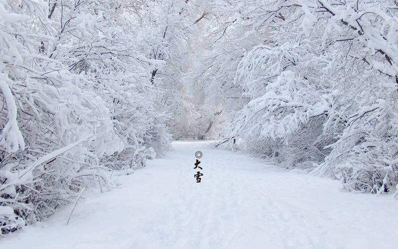 新乡80后菲菲记录开店日常新乡下大雪了 雪花如诗 冰天雪地(大雪鄉下店裡)