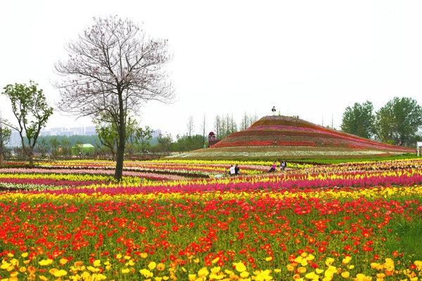 爱花之人必看！这是江苏最“花”的地方……(這是之人必看)