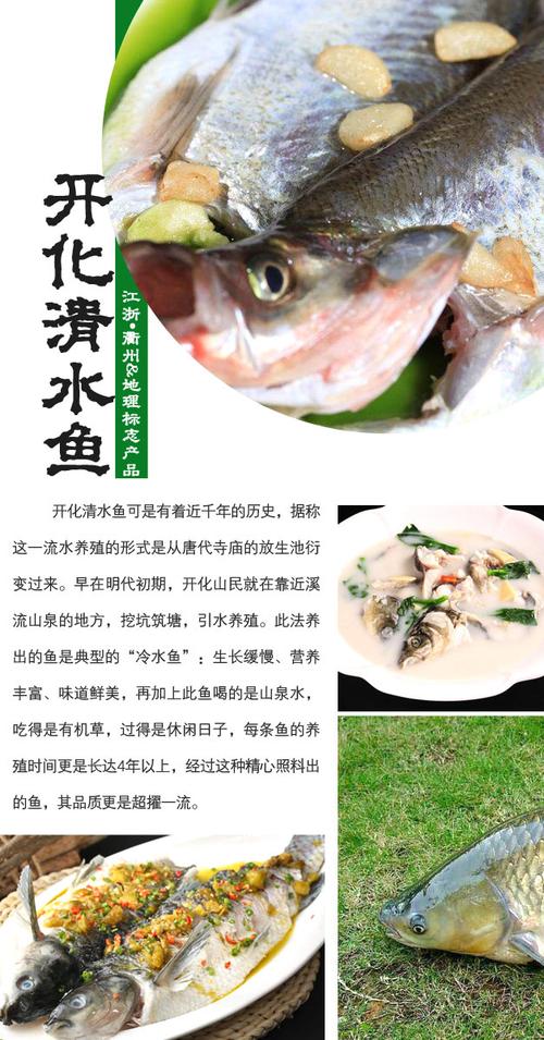 减脂瘦身后变身“白富美” 衢州清水鱼能否“游”出百亿产业(水魚產業養殖)