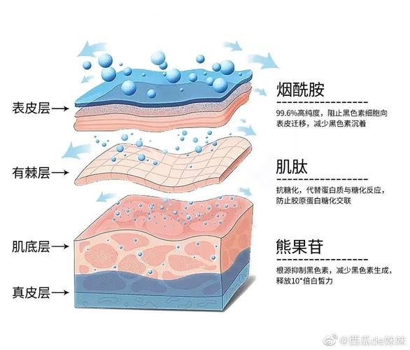 美容养颜的原理你知道吗？(皮膚養顏你知道)