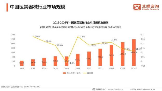 2024年中国医疗美容行业市场前景预测研究报告(國醫醫療美容研究報告)