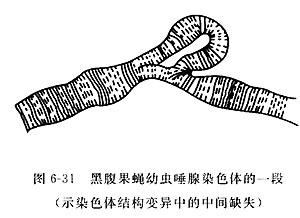 钢材市场拐点到了？业内称型钢板材仍有结构性机会(型鋼結構性南鋼)