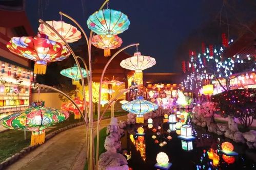 【双语听读】Zhengzhou Lantern Show for the Year of the Dragon 年味郑州“灯”场(編輯器雙語中原)