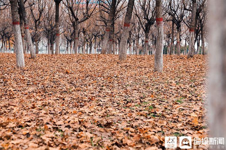 天气渐冷_这些地方却愈发迷人(愈發天氣地方)