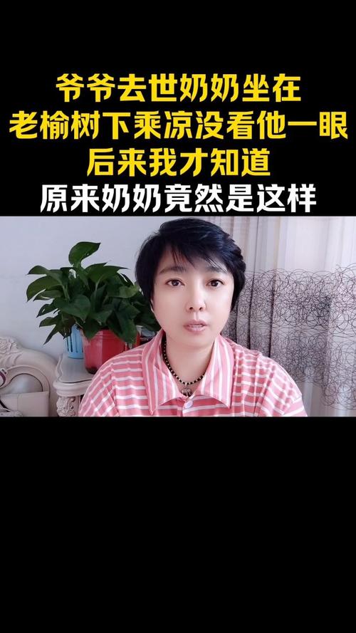 口播短视频创业(老奶奶兒女我說)