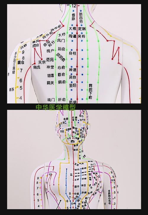 十二经络的名称_经络穴位为何这样命名_看完这篇文章你就明白了(經絡穴位你就)