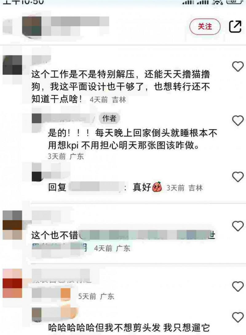 985高校女大学生裸辞大公司：宁给宠物做美容_不愿心累搞设计(轉行工作寵物)