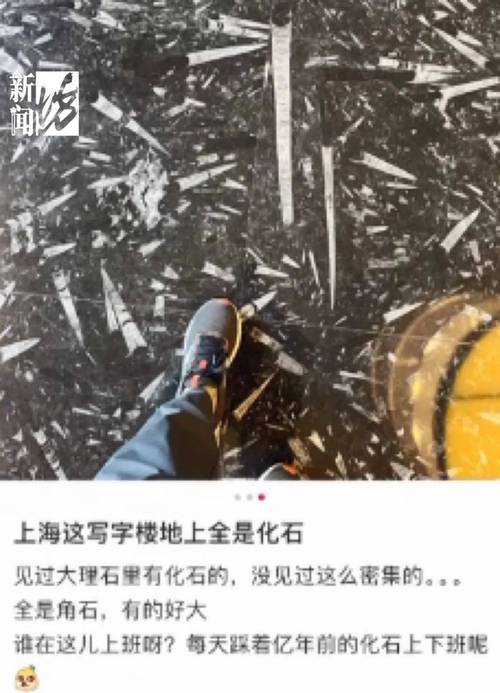 上海瑞金医院里_最新发现很多人还真忽略了……(化石很多人醫院裡)