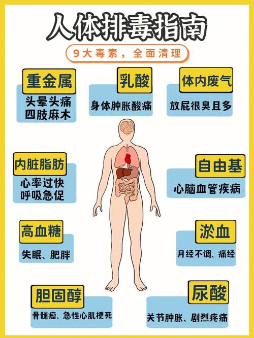 排毒靠自己就好！别再花冤枉钱搞这5种排毒养生了_建议收藏(排毒養生冤枉錢)