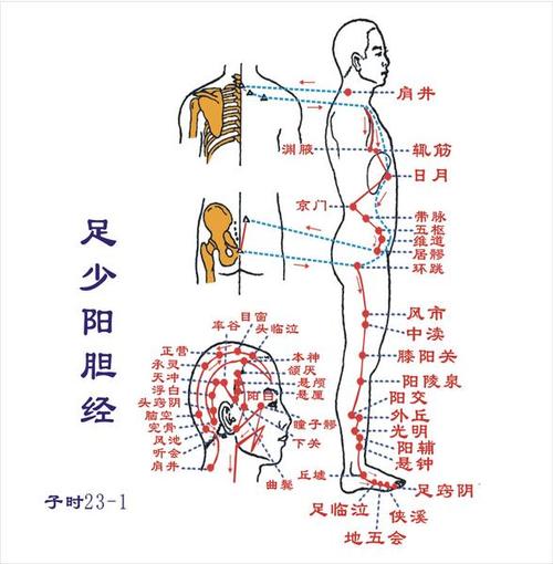 久坐不动的人_每天坐着敲一敲大腿外侧_疏通经络_赶走亚健康(經絡敲打坐著)