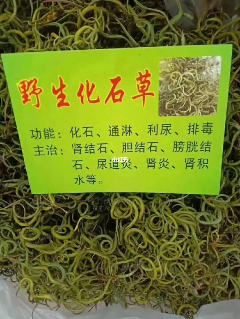 老人每天喝一壶茶叶水为何长满结石？结石的形成与哪些饮食有关？(結石腎結石茶葉)