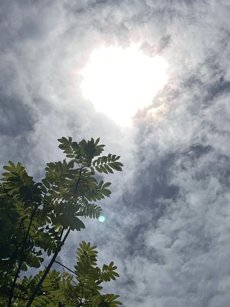 太阳流浪去了 广东半年连续阴雨 民间防潮高手教你各种防湿秘籍(1)(內褲厄爾尼諾天氣)