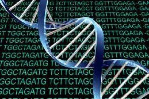 人体内75%基因是垃圾？“垃圾DNA”吐露人与猩猩差异(垃圾基因序列)