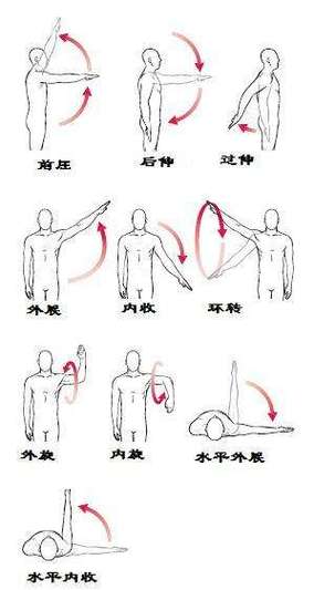瑜伽开肩_肩关节的8大解剖运动形式及对应体式_一定要知道(肩關節瑜伽體式)