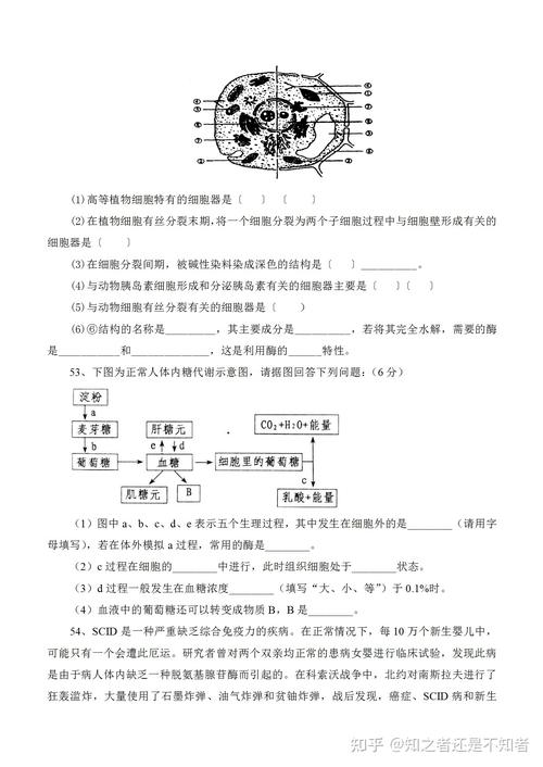 生物趣味题目集锦（含答案）(的是生物有機物)