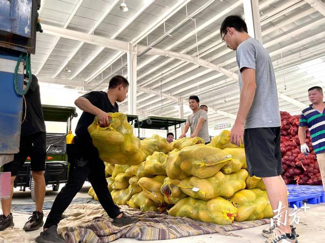 视频丨打造湖南省最大“菜篮子”常德国际农产品交易中心启动运营(農產品菜籃子交易中心)