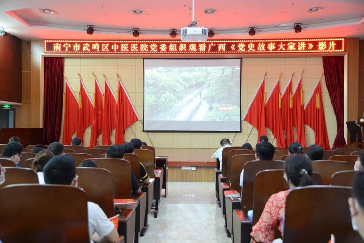 武鸣区建设一所二级综合医院 完善医疗卫生服务体系(醫療衛生黨史教育)